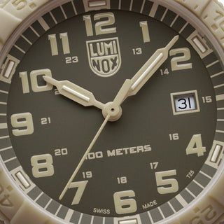 Leatherback Sea Turtle Giant, 44mm, Outdoor Watch, Sand Turtle - dial close-up