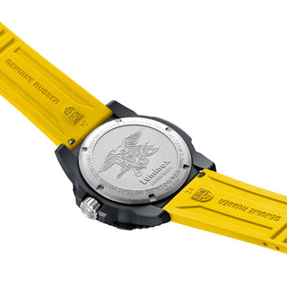 Navy Seal, 45 mm, Military Dive Watch - 3601.GF, Case back 